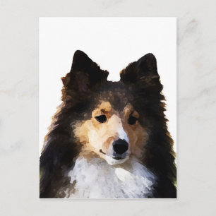 Sheltie Dog Malerkizze Postkarte