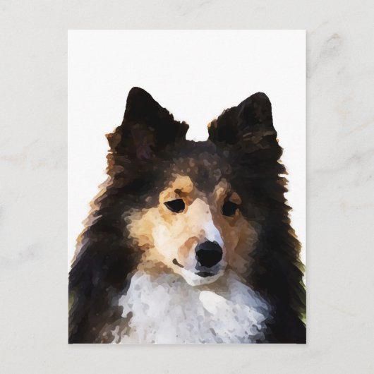 Sheltie Dog Malerkizze Postkarte (Vorderseite)