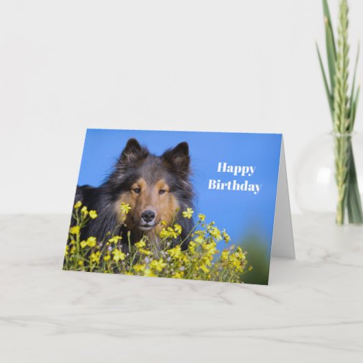 Sheltie Floral Foto Geburtstag Karte (Vorderseite)
