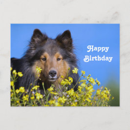 Sheltie Floral Foto Geburtstag Postkarte