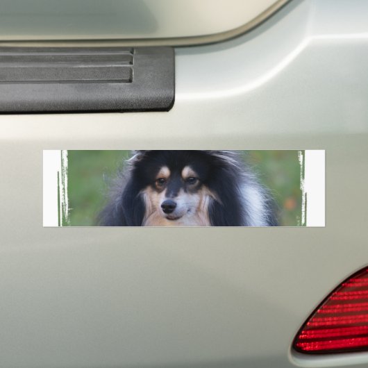 Sheltie Foto-Autoaufkleber Autoaufkleber (Auf Auto)