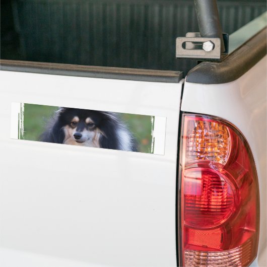 Sheltie Foto-Autoaufkleber Autoaufkleber (Auf Lkw)
