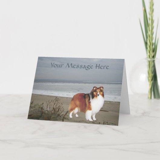 Sheltie Greeting Card Karte (Vorderseite)