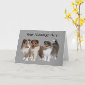 Sheltie Grußkarte Karte (Gelbe Blume)