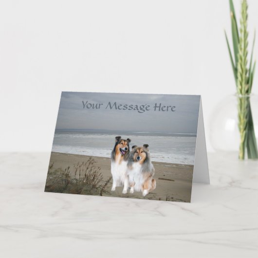 Sheltie Grußkarte Karte (Vorderseite)