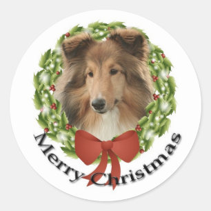 Sheltie Holiday #3 Aufkleber