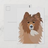 Sheltie-Hund Postkarte (Vorne/Hinten)