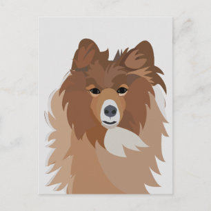 Sheltie-Hund Postkarte