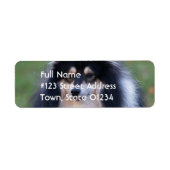 Sheltie Hund Rücksendeadresse (Vorne)