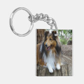 Sheltie in the woods schlüsselanhänger (Vorderseite links)