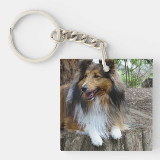 Sheltie in the woods schlüsselanhänger (Vorderseite)