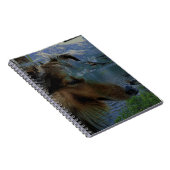 Sheltie Journal Notizblock (Rechte Seite)