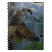 Sheltie Journal Notizblock (Vorderseite)