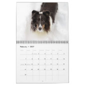 Sheltie Kalender (Feb 2027)