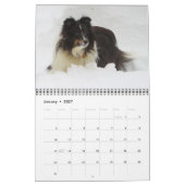 Sheltie Kalender (Jan 2027)