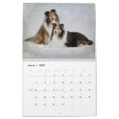 Sheltie Kalender (Mär 2027)