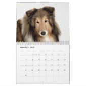 Sheltie Kalender (Feb 2027)