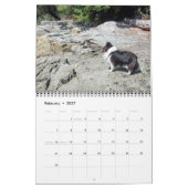 Sheltie Kalender 2015 (Feb 2027)