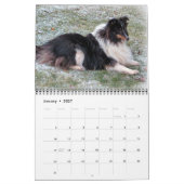 Sheltie Kalender 2015 (Jan 2027)