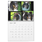 Sheltie Kalender 2015 (Mär 2027)