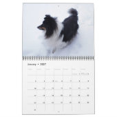 Sheltie-Kalender 2024 Kalender (Jan 2027)