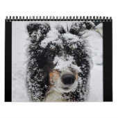 Sheltie-Kalender 2024 Kalender (Titelbild)