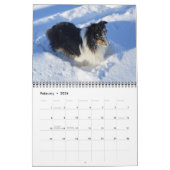 Sheltie-Kalender 2024 Kalender (Feb 2026)