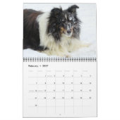 Sheltie-Kalender Kalender (Feb 2027)
