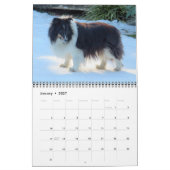 Sheltie-Kalender Kalender (Jan 2027)