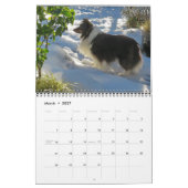 Sheltie-Kalender Kalender (Mär 2027)