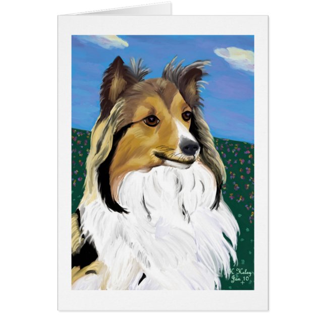 Sheltie Karte (Vorne)