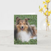 Sheltie Karte (Gelbe Blume)