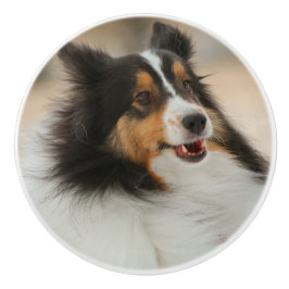 Sheltie Keramikknauf