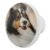 Sheltie Keramikknauf (Rechts)