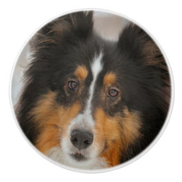 Sheltie Keramikknauf
