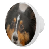 Sheltie Keramikknauf (Rechts)