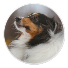 Sheltie Keramikknauf