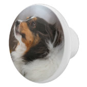 Sheltie Keramikknauf (Rechts)