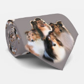 Sheltie Krawatte (Gerollt)