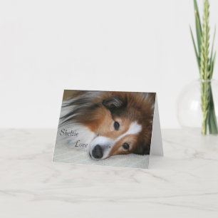 Sheltie Liebe Karte