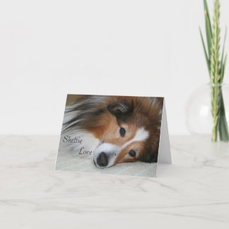 Sheltie Liebe Karte