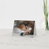 Sheltie Liebe Karte (Vorderseite)