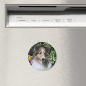 Sheltie Liebe Magnet (In Situ (Geschirrspüler))