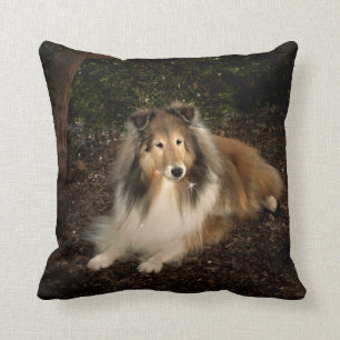 Sheltie Magie-Kissen Kissen