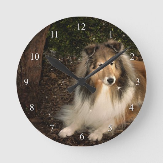 Sheltie Magie-Uhr Runde Wanduhr (Vorderseite)
