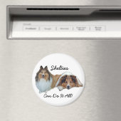 Sheltie Magnet (In Situ (Geschirrspüler))