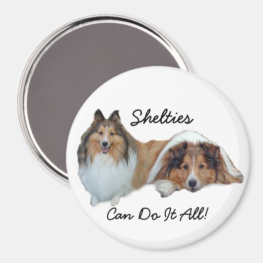 Sheltie Magnet (Vorderseite/Rückseite)