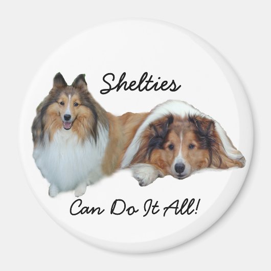 Sheltie Magnet (Vorne)
