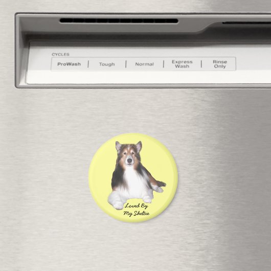 Sheltie Magnet (In Situ (Geschirrspüler))