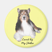 Sheltie Magnet (Vorne)